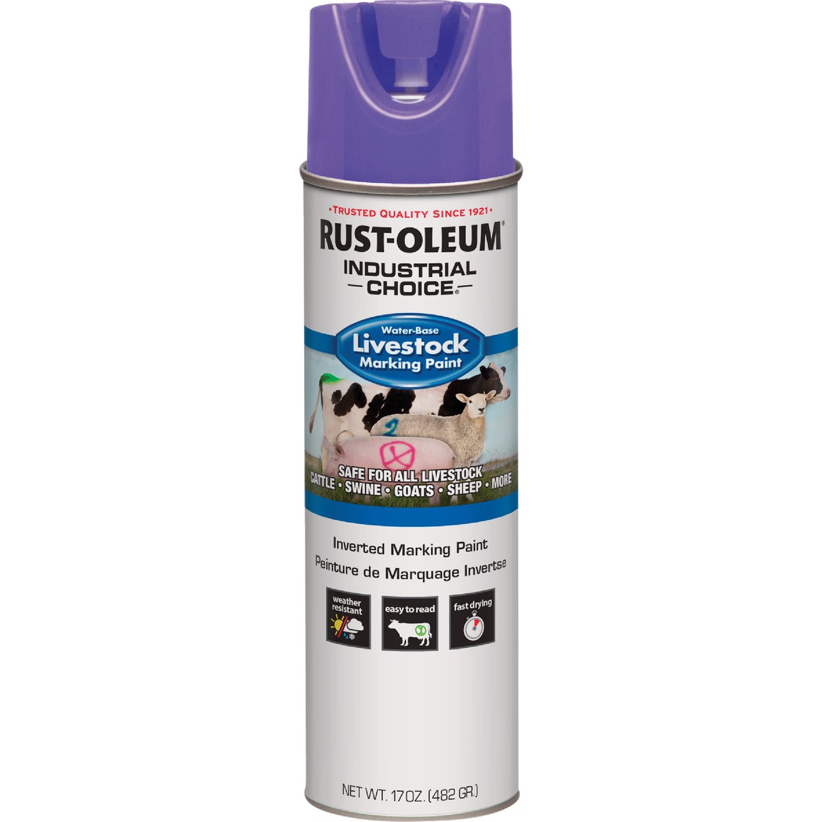 FLUOR PPL LIVESTCK PAINT