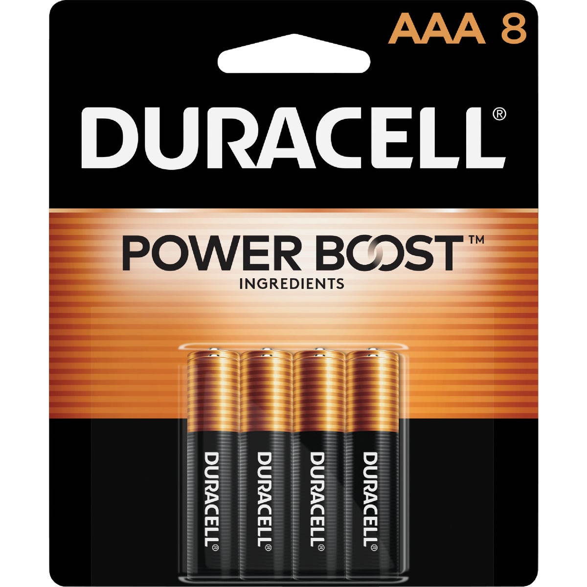 Duracell CopperTop AAA Alkaline Battery 805513