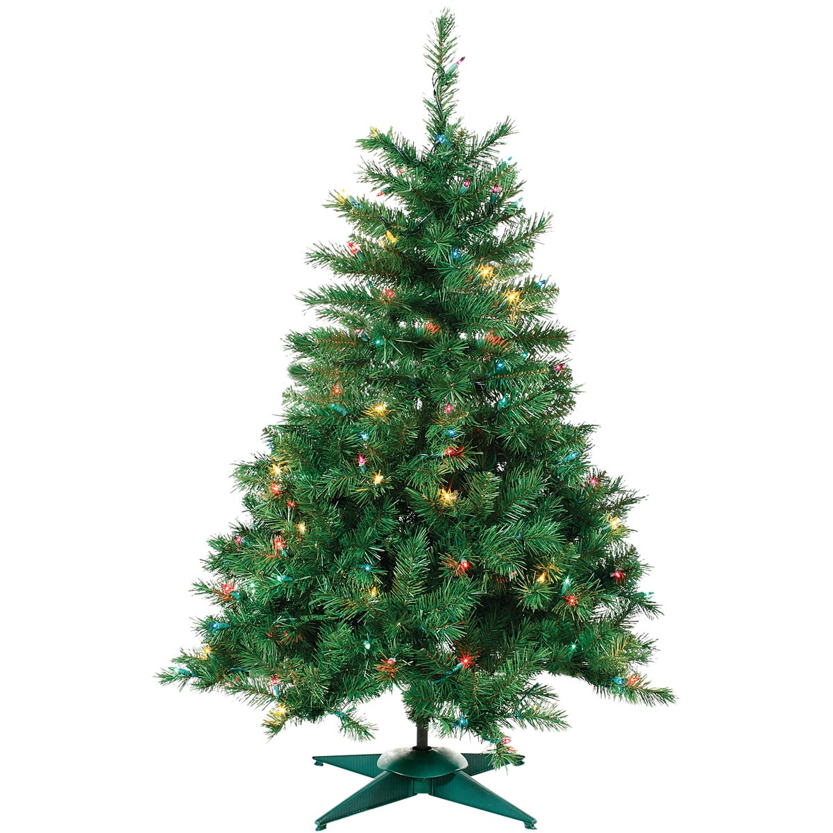 2P/L COLRAD SPRUCE TREE