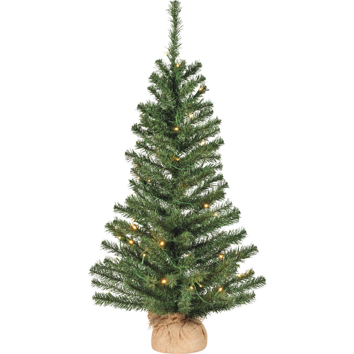 3P/L COLRAD SPRUCE TREE