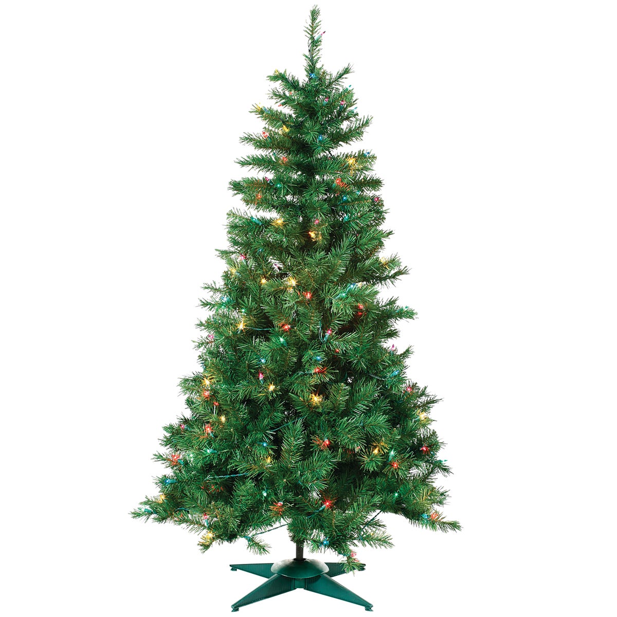 4P/L COLRAD SPRUCE TREE