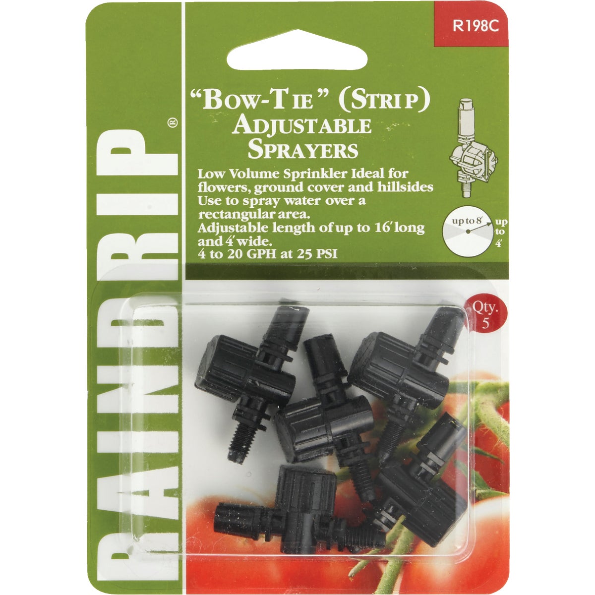 R198CT