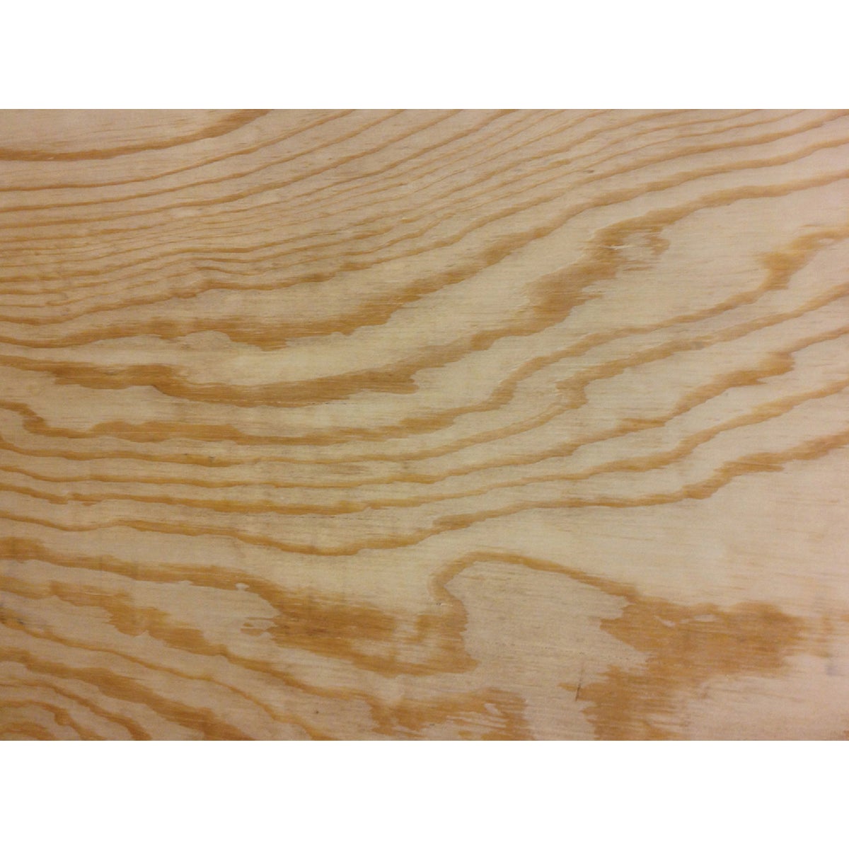 Universal Forest Products BCX Pine Plywood Panel