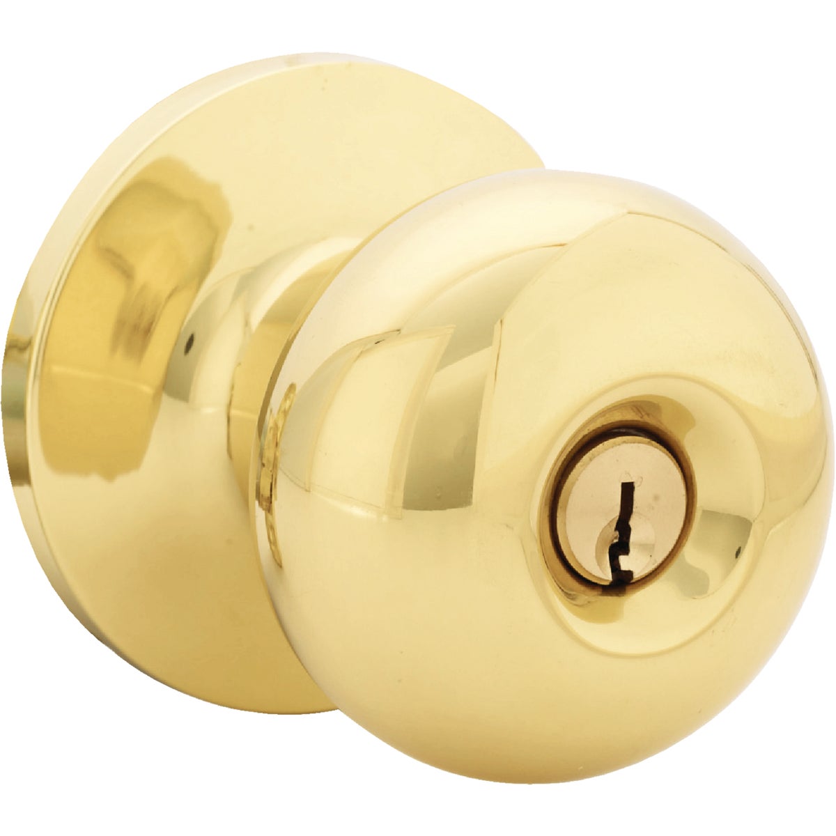 Steel Pro Pollished Brass Entry Door Knob