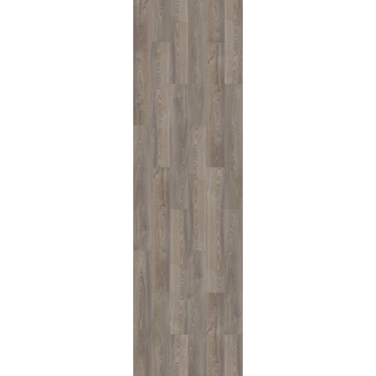 Shaw Floorte Pro Anvil Plus Grey Chestnut 7 In. W x 48 In. L Vinyl Rigid Core Floor Plank (27.73 Sq. Ft./Case)