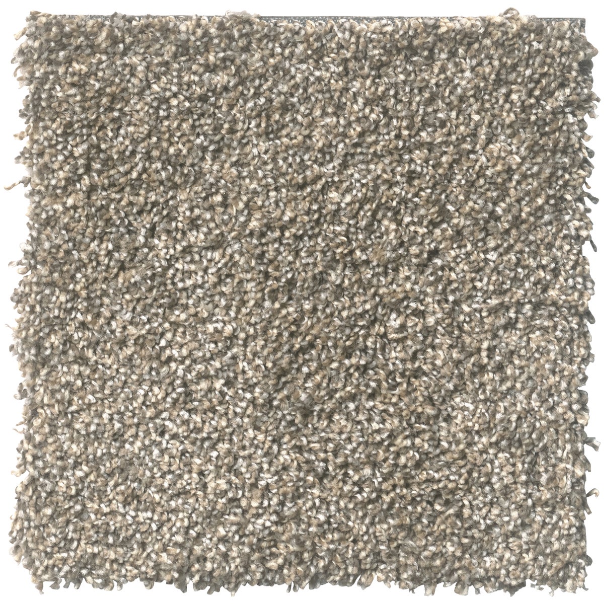 Floorigami 9 In. x 36 In. Feathered Tri-Tone Indoor Carpet Tile (12-Pack)