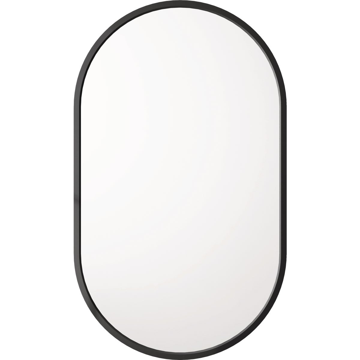 Zenna Home Designer Series Black 16 In. W x 27 In. H x 5 In. D Single Mirror Surface Mount Pill Framed Medicine Cabinet