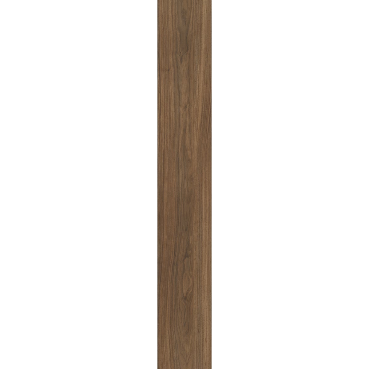 Shaw Floorte Pro Endura Plus Modern Classic 7 In. W x 48 In. L Vinyl Rigid Core Floor Plank (18.67 Sq. Ft./Case)