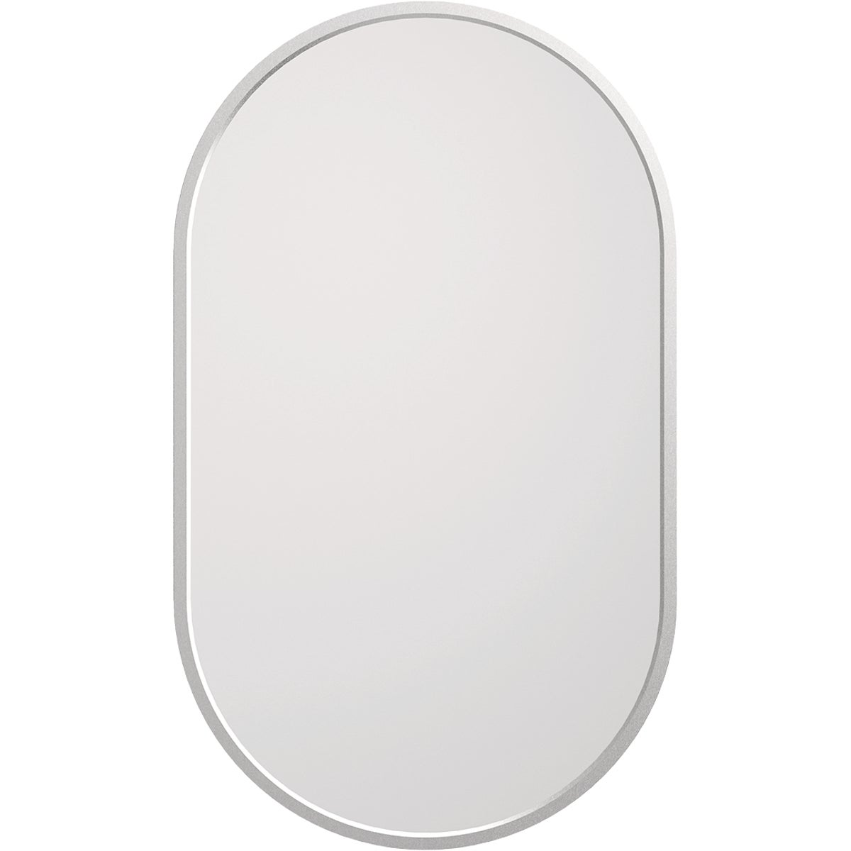 Zenna Home Designer Series Brushed Nickel 16 In. W x 27 In. H x 5 In. D Single Mirror Surface Mount Pill Framed Medicine Cabinet