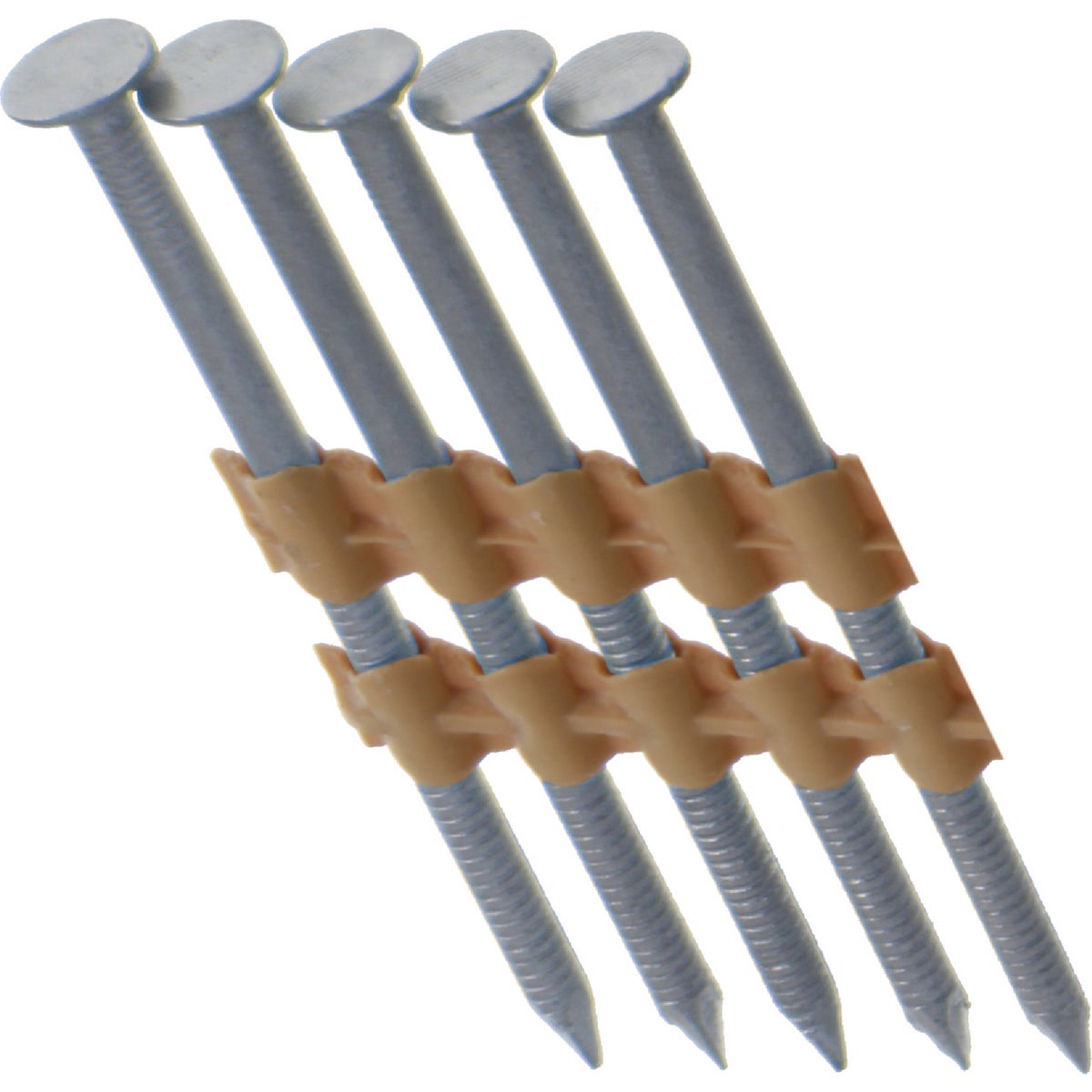 21D 2-3/8″ SS FRMNG NAIL