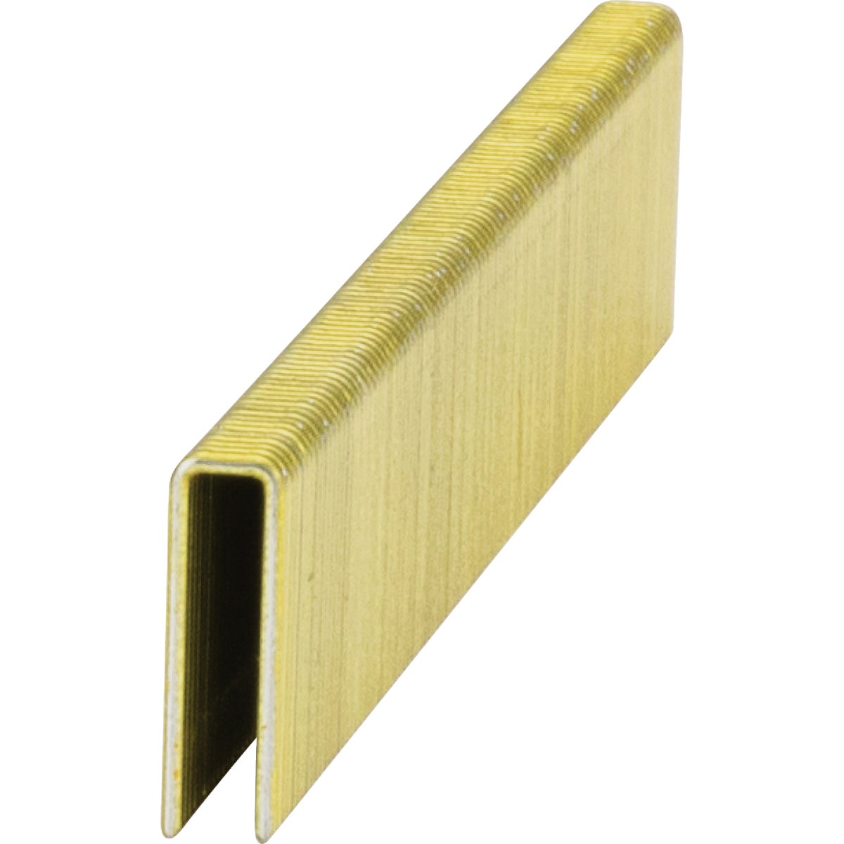 Grip-Rite 18-Gauge Galvanized L-Style Narrow Crown Finish Staple, 1/4 In. x 1 In. (4000 Ct.)