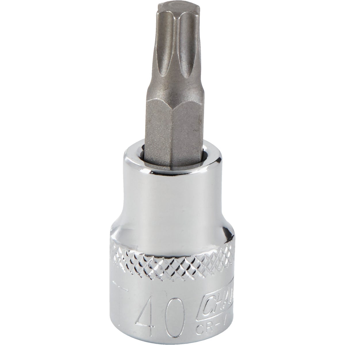 3/8DR T40 TORX BT SOCKET