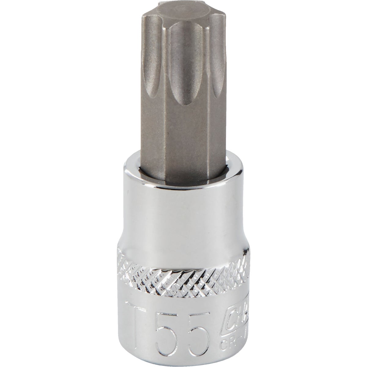 Channellock 3/8 In. Drive T55 6-Point Torx Bit Socket