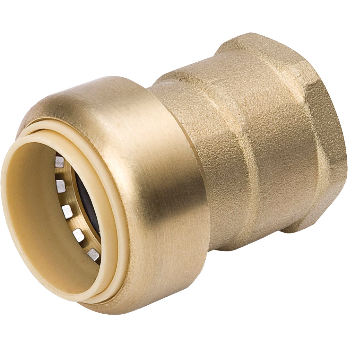 ProLine 1 In. x 1 In. FPT Brass Push Fit Adapter