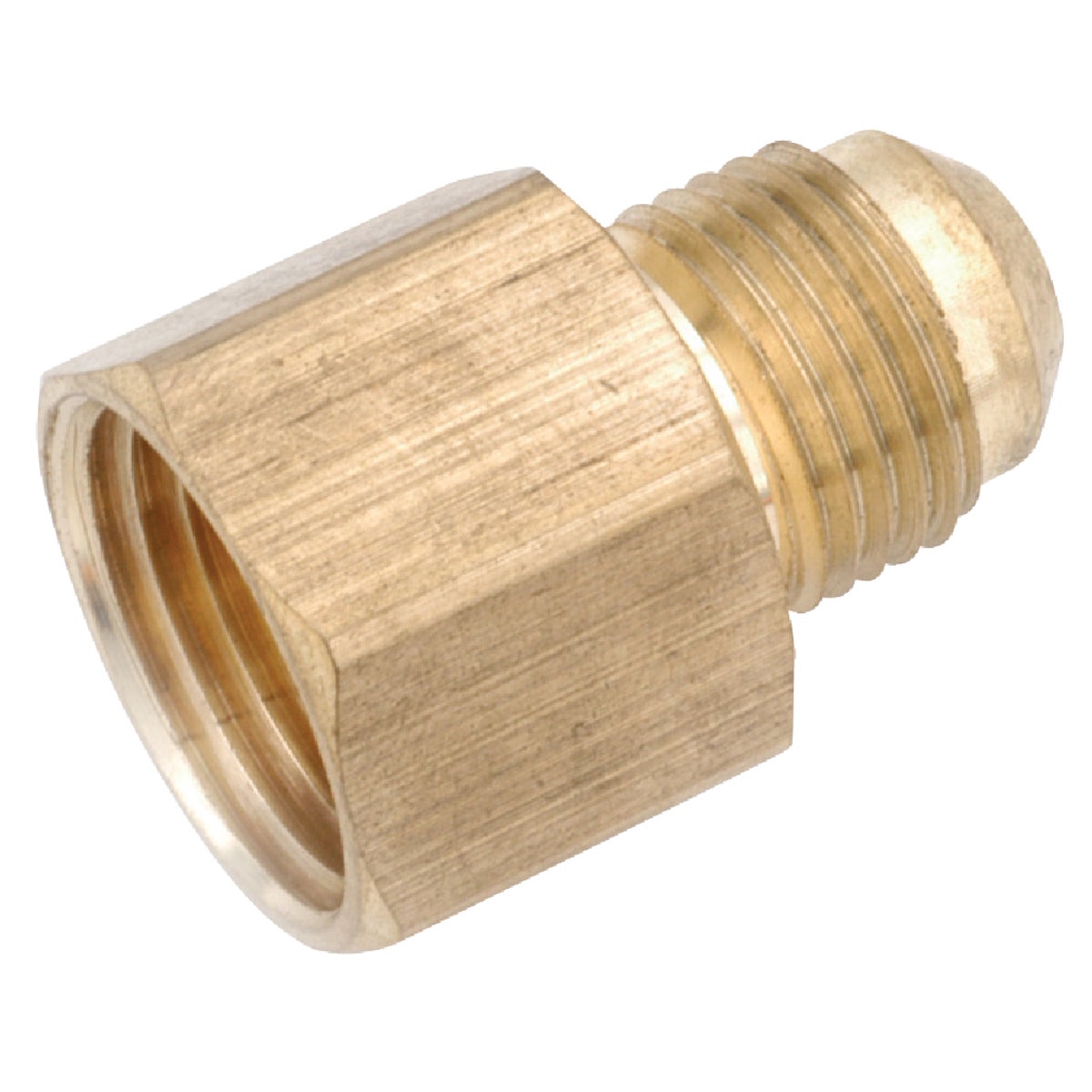 Anderson Metals 1/2 In. x 1/4 In. Brass Low Lead Female Flare Connector
