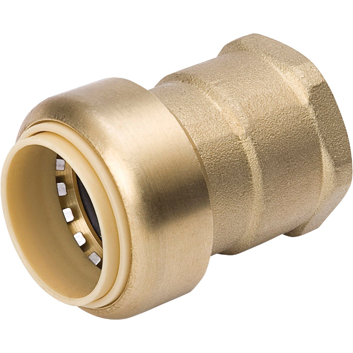 ProLine 3/4 In. x 3/4 In. FPT Brass Push Fit Adapter