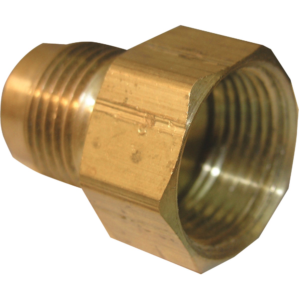 Lasco 5/8 In. M x 1/2 In. FPT Brass Flare Adapter