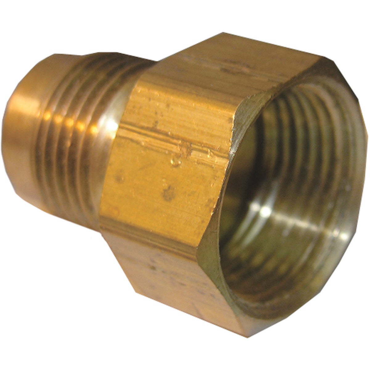 Lasco 5/8 In. M x 3/4 In. FPT Brass Flare Adapter