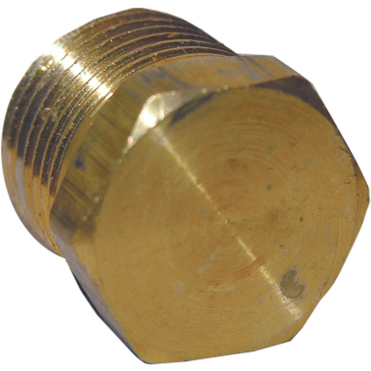 Lasco 1/4 In. MPT Brass Hex Head Plug