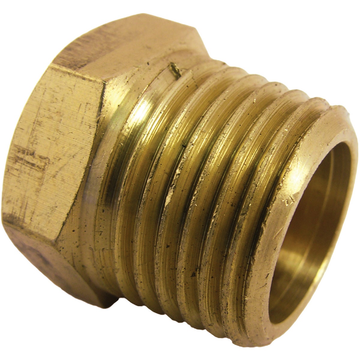 Lasco 1/2 In. MPT Brass Hex Head Plug