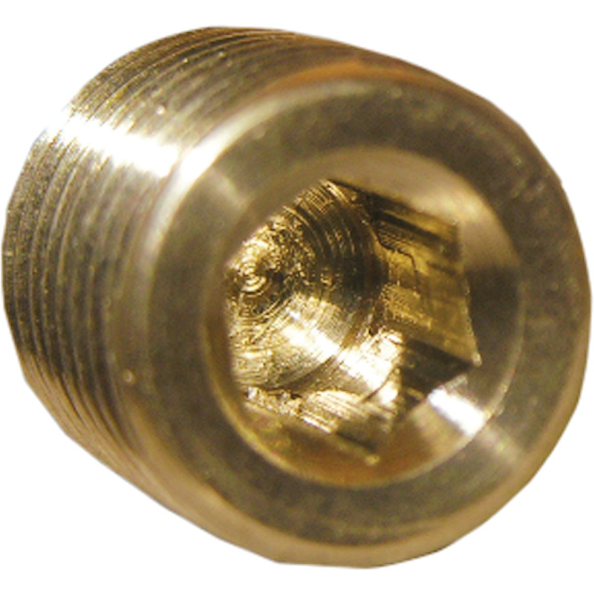 Lasco 1/8 In. MPT Brass Countersunk Plug
