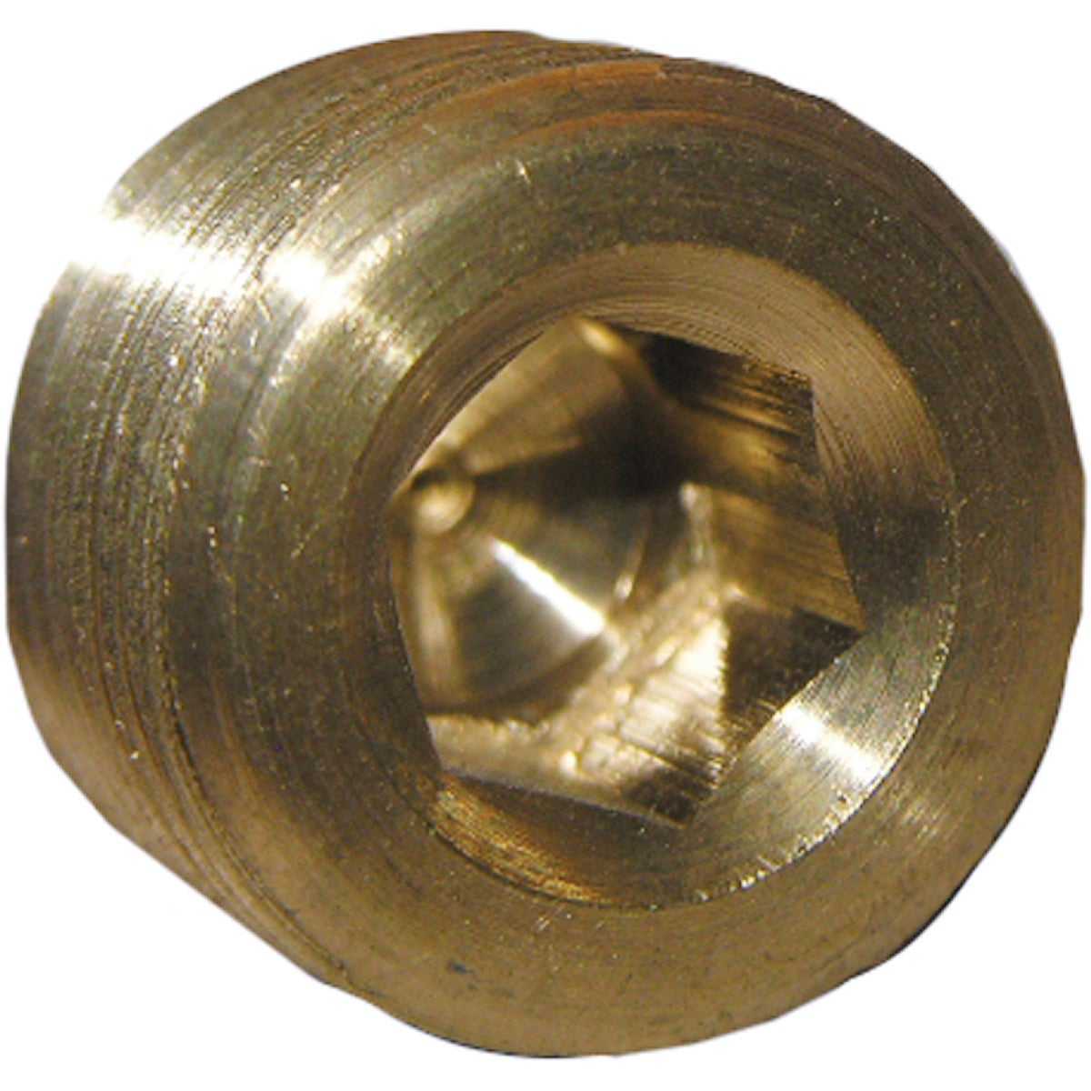 Lasco 1/4 In. MPT Brass Countersunk Plug