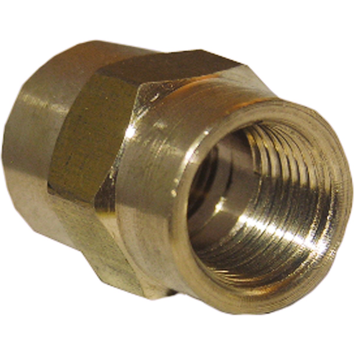 Lasco 1/8 In. FPT x 1/8 In. FPT Yellow Brass Coupling