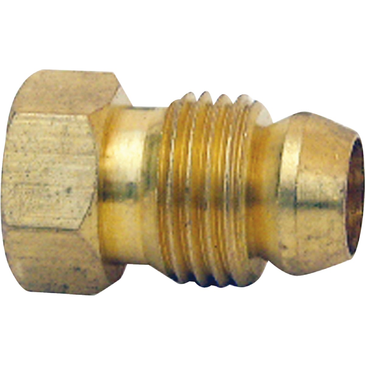 Lasco 1/4 In. Brass Inverted Flare Connector