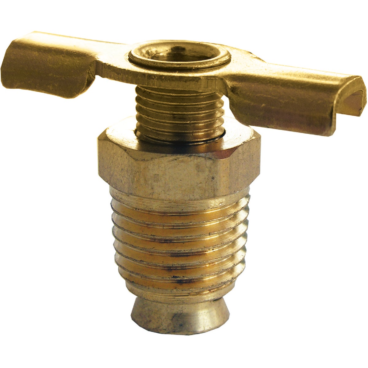 Lasco 1/8 In. MPT Brass 200 psi External Seat Drain Cock