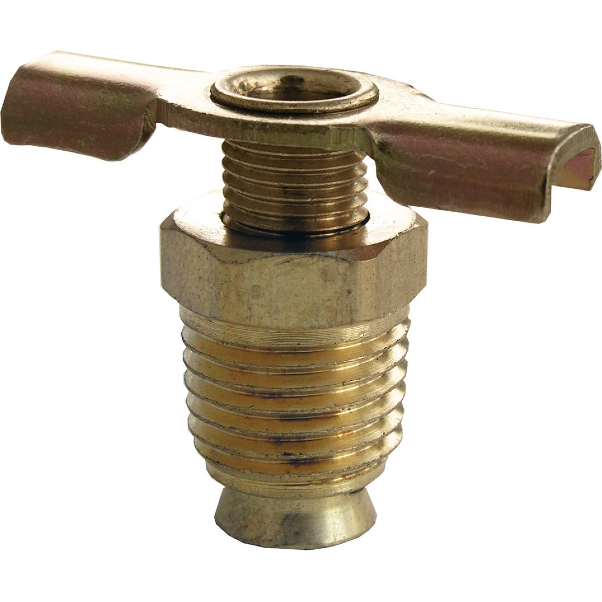 Lasco 1/4 In. MPT Brass 200 psi External Seat Drain Cock