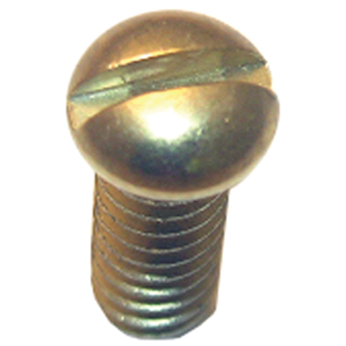 Lasco Round Head 1/2 In. #10 Faucet Screw