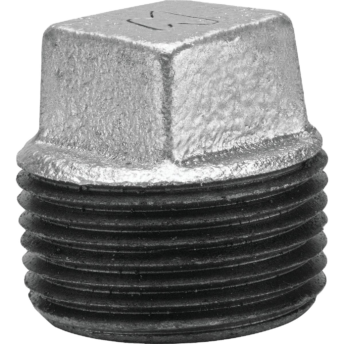 Anvil 2 In. Malleable Iron Galvanized Plug