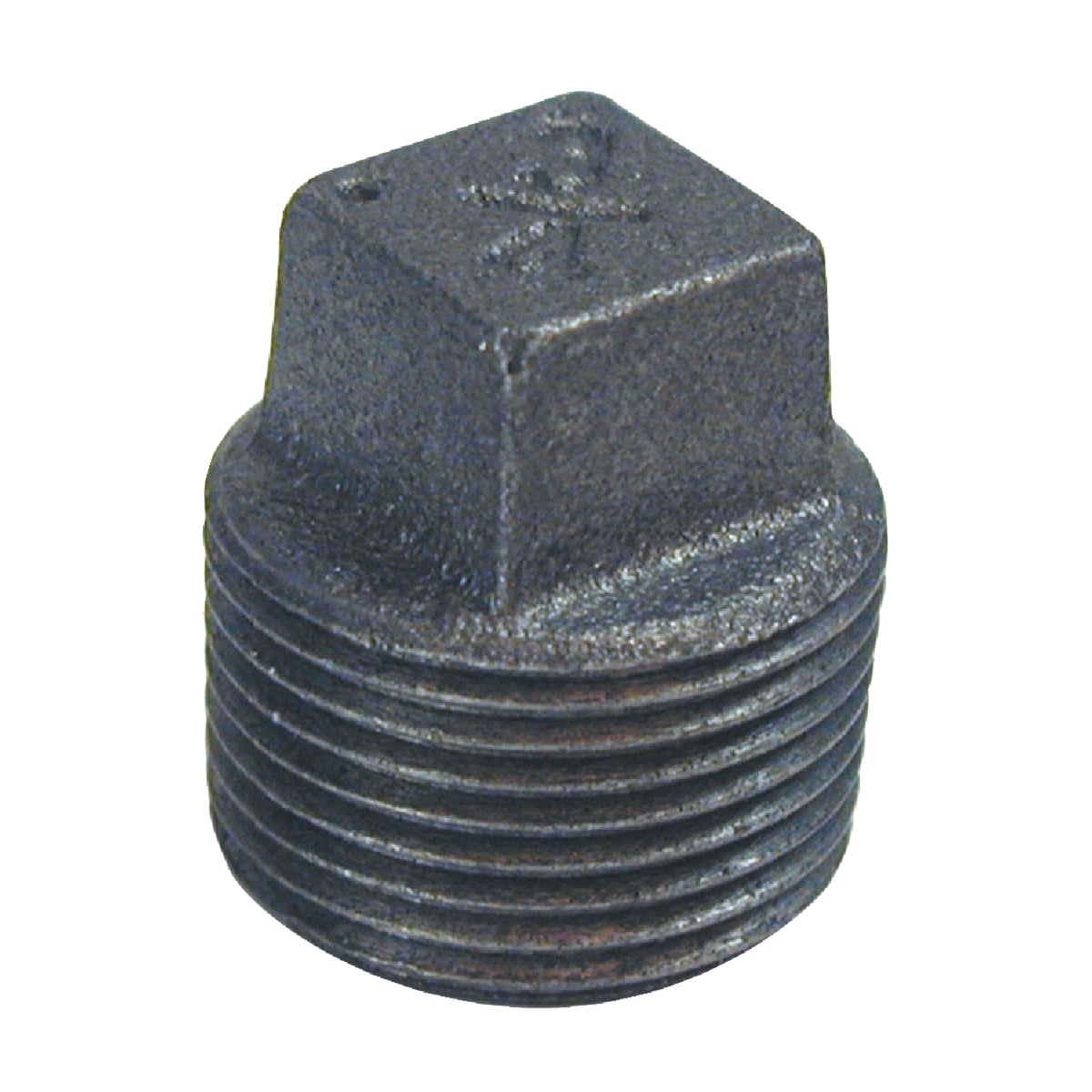 B&K 1/8 In. Malleable Black Iron Pipe Plug