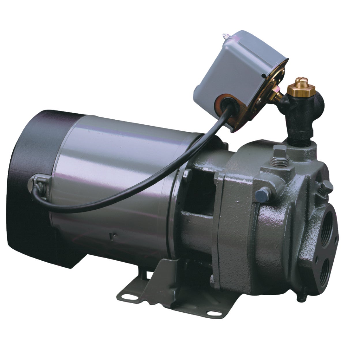 Do it Best 1 HP Cast Iron Water Conventional Well Jet Pump