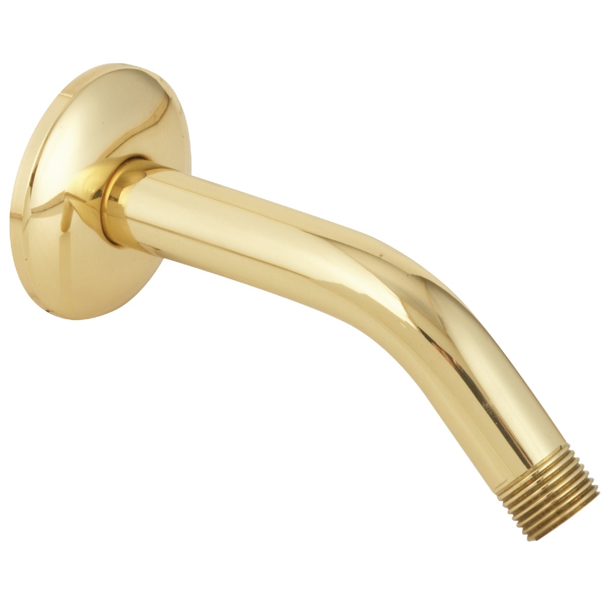 Do it 6 In. Polished Brass Shower and Flange
