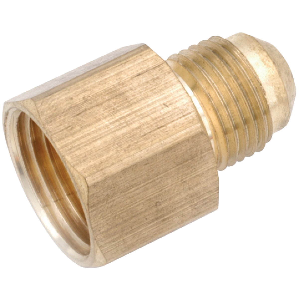 Anderson Metals 1/4 In. x 1/8 In. Brass Low Lead Female Flare Connector