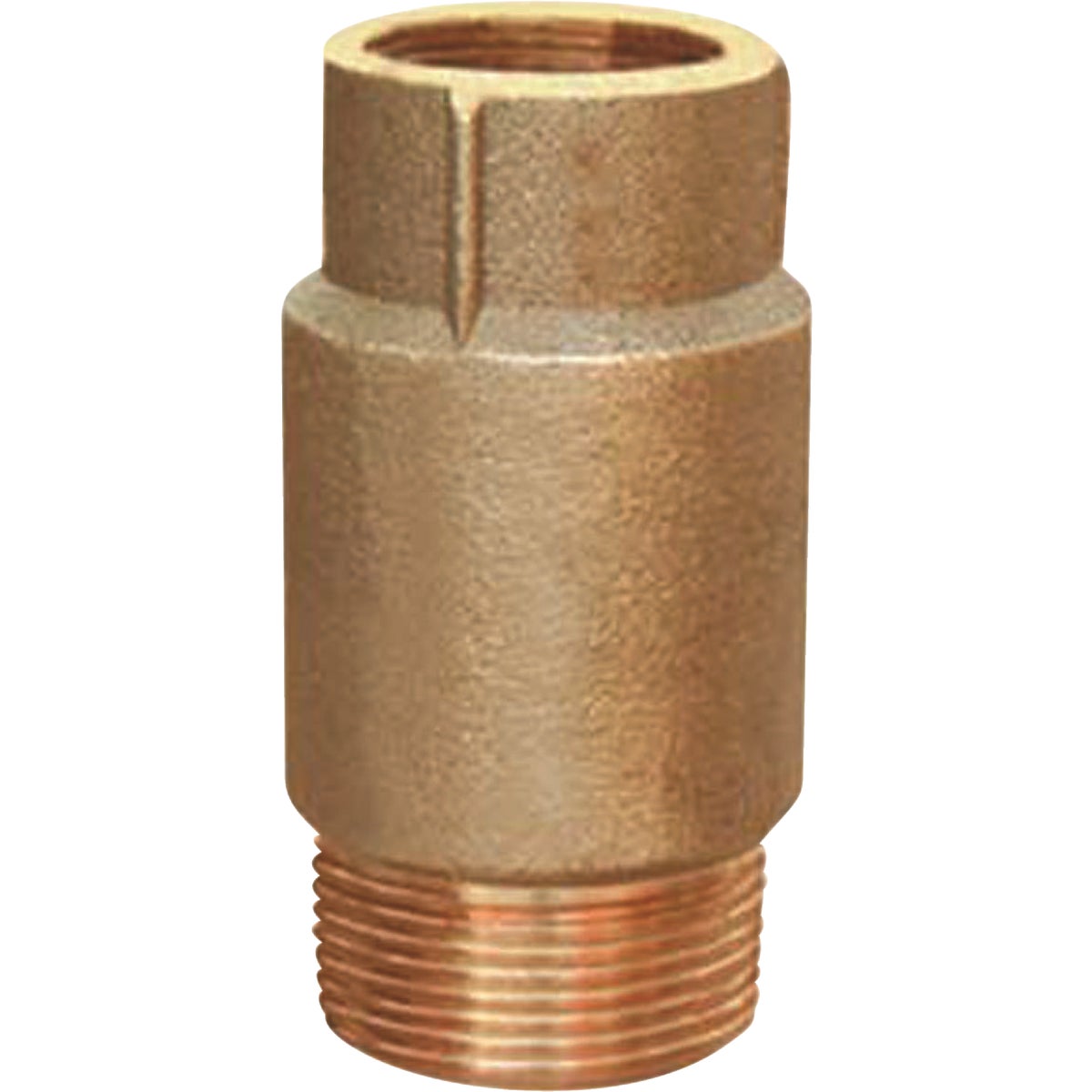 1X1-1/4F/M TH CK VALVE