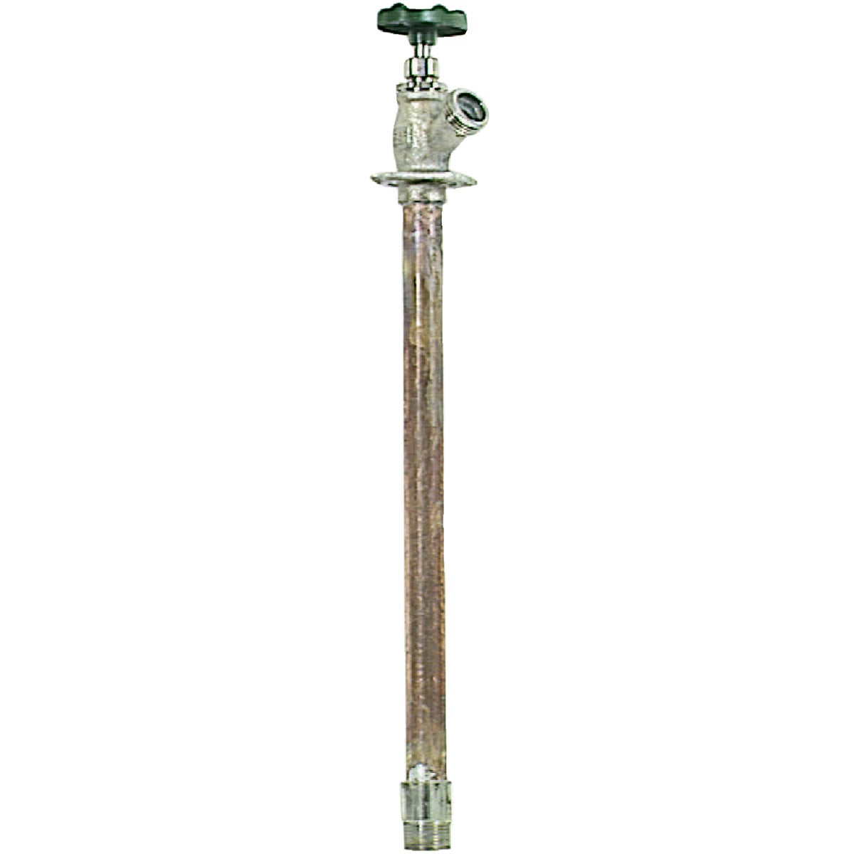 Arrowhead Brass 1/2 In. FIP In. x 3/4 In. MIP x 12 In. Standard Frost Free Wall Hydrant