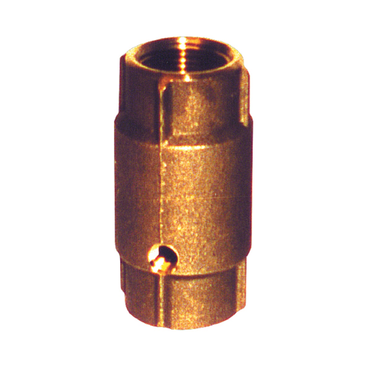 Double Tapped Check Valve