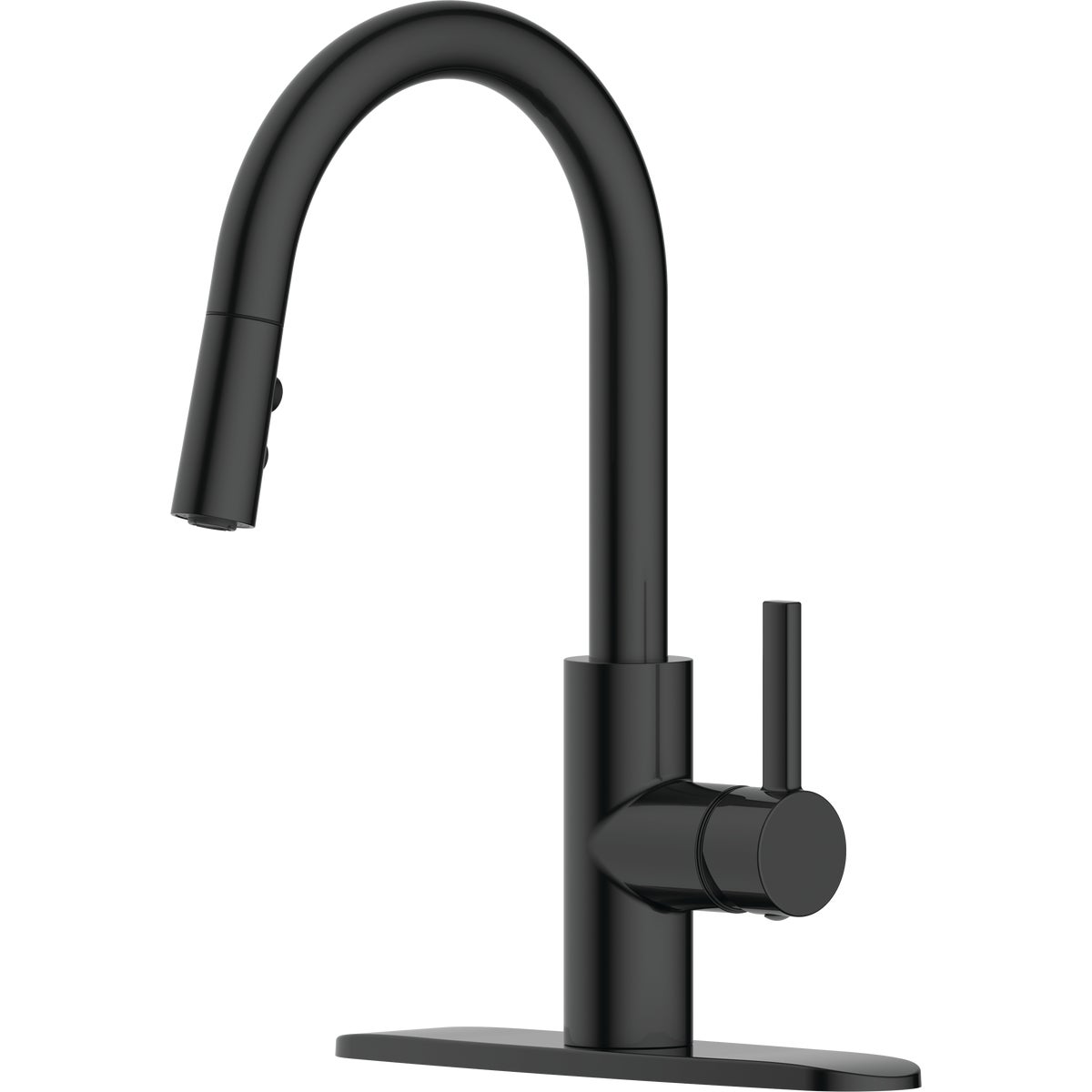 Common Goods Heritage 1-Handle Kitchen Faucet, Matte Black