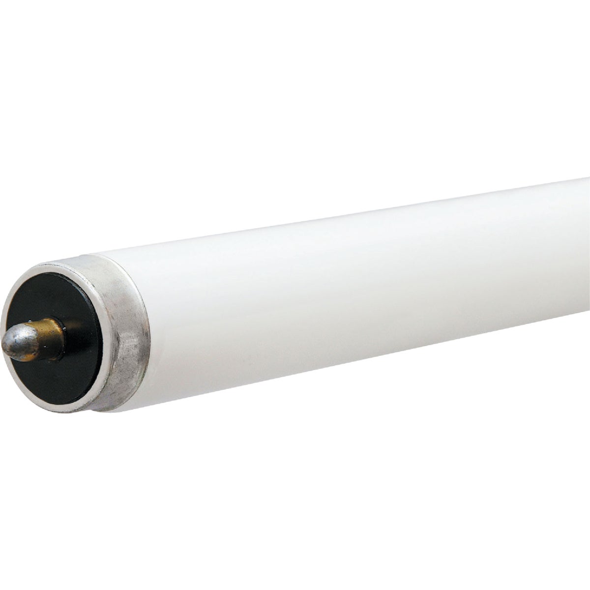 Philips 59W 96 In. Cool White T8 Single Pin Fluorescent Tube Light Bulb