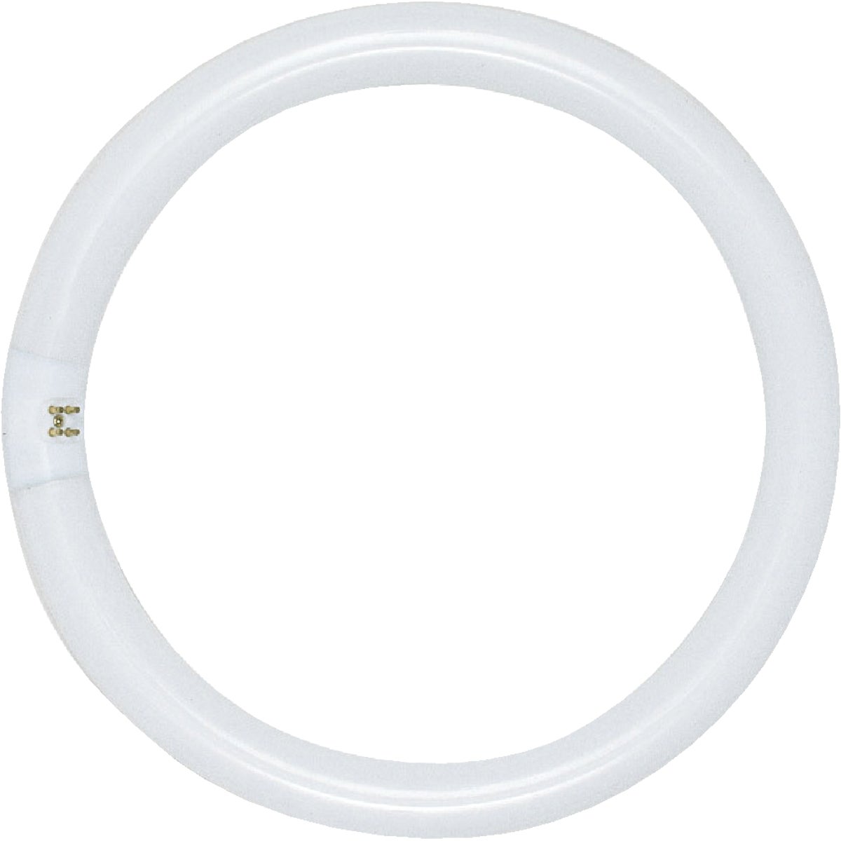 Satco 32W 12 In. Cool White T9 Circline 4-Pin Fluorescent Tube Light Bulb