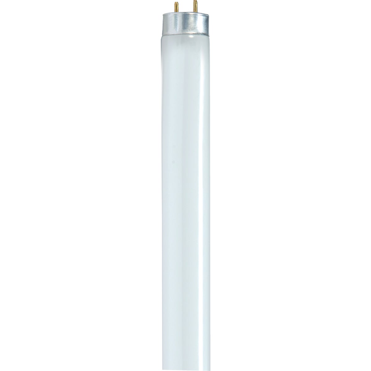 Satco 32W 47.8 In. Warm White T8 Medium Bi-Pin Fluorescent Tube Light Bulb