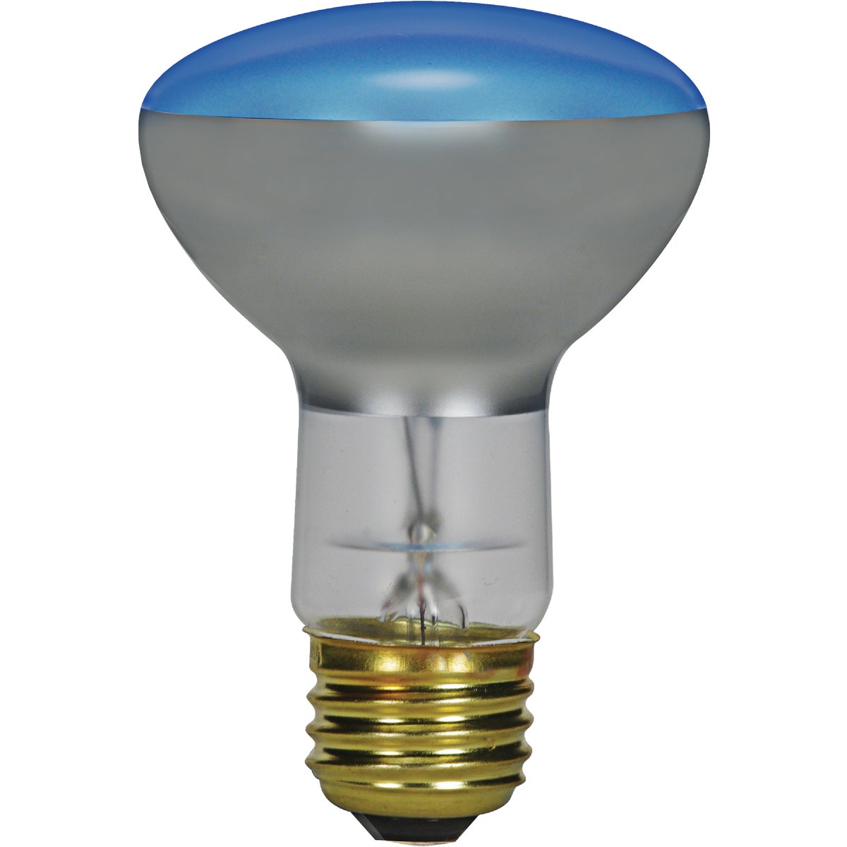 Satco 75W Frosted Medium Base R25 Incandescent Plant Light Bulb