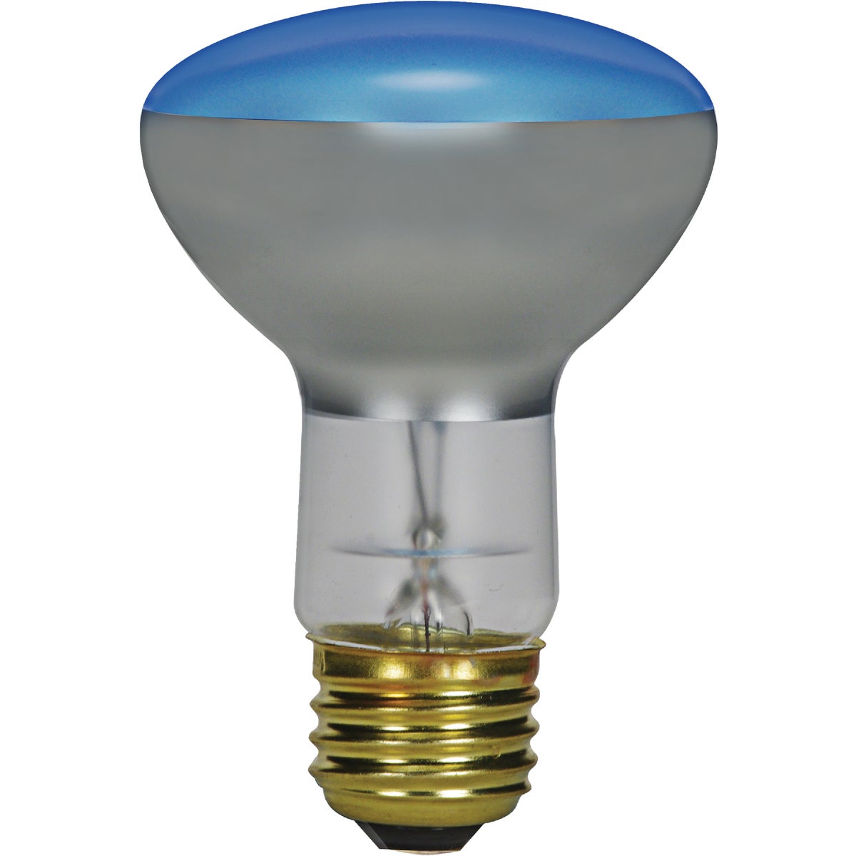 Satco R25 Incandescent Plant Light Bulb