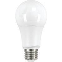 S28560 Satco A19 Medium LED A-Line Light Bulb