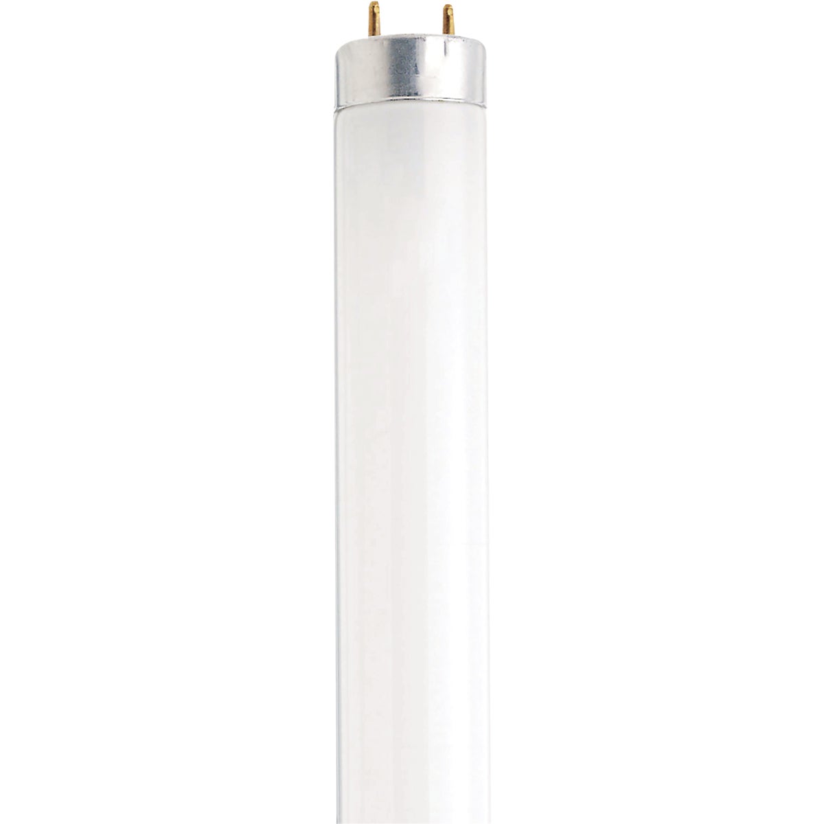 Satco 15W 18 In. T8 Bi-Pin Cool White Fluorescent Tube Light Bulb