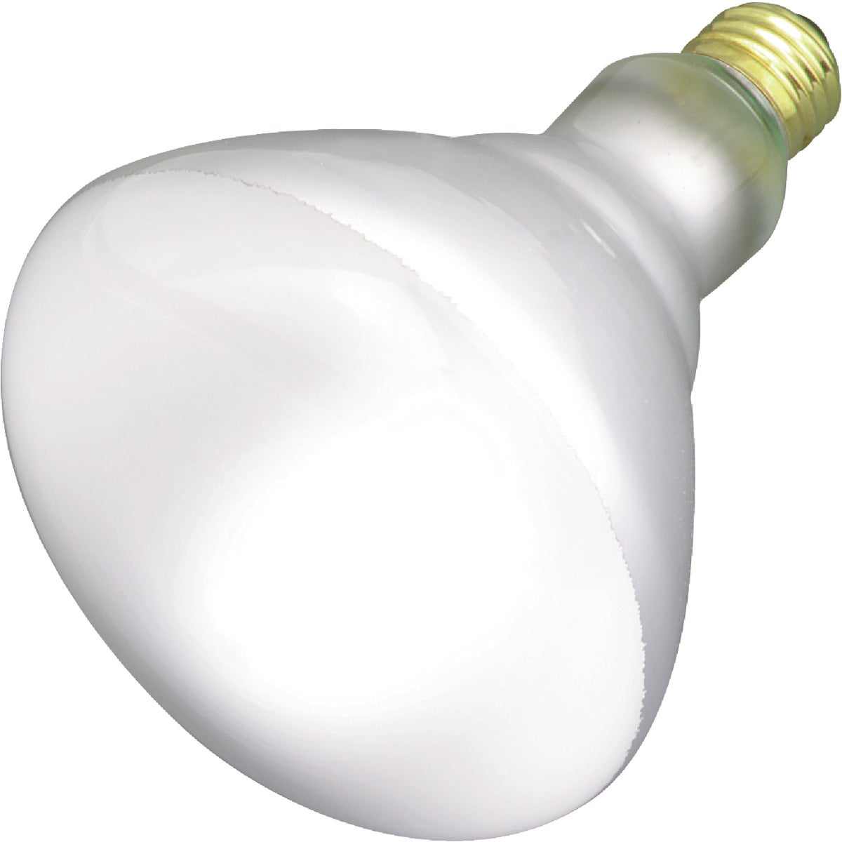 Satco BR40 Incandescent Floodlight Light Bulb