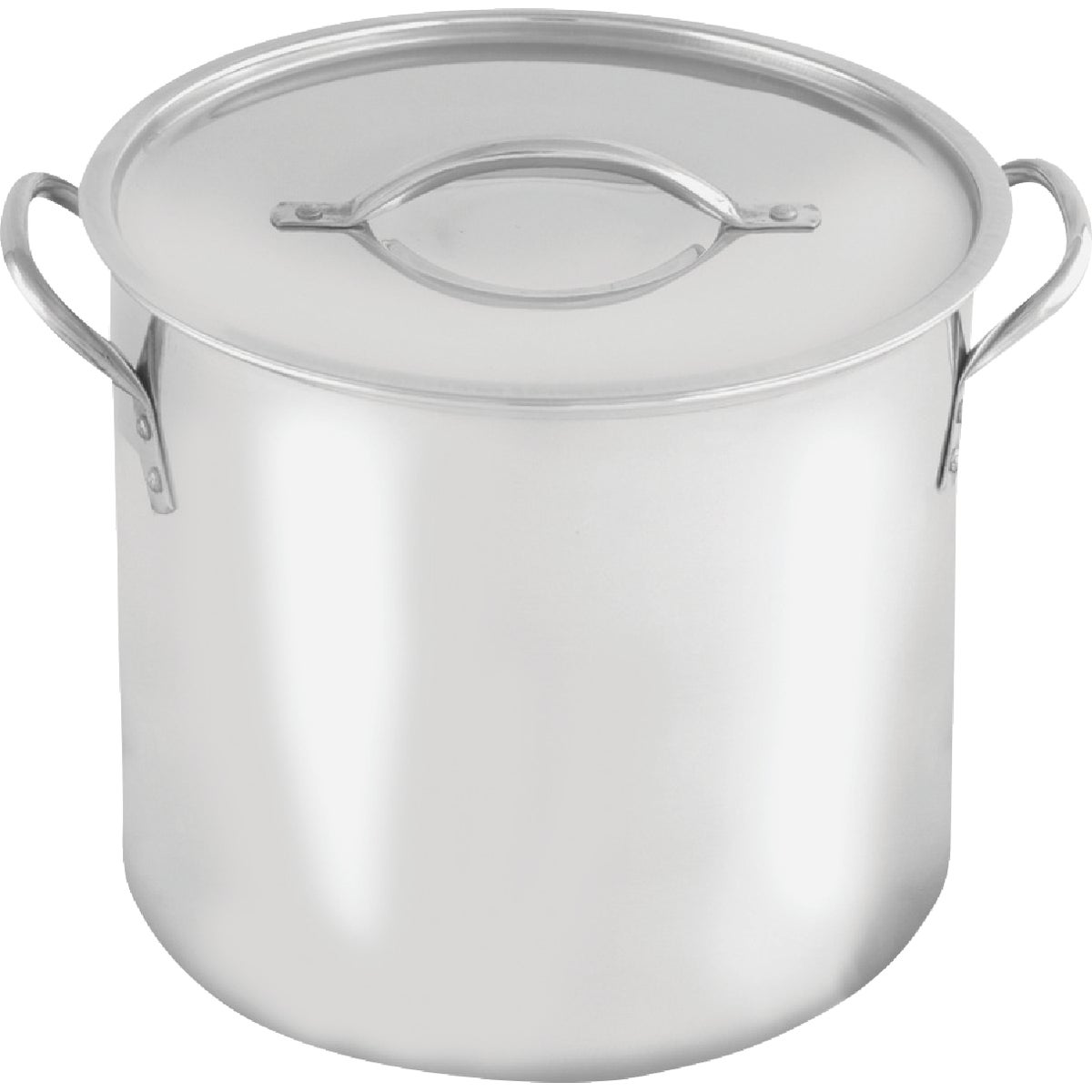 McSunley 12 Qt. Polished Stainless Steel Stockpot