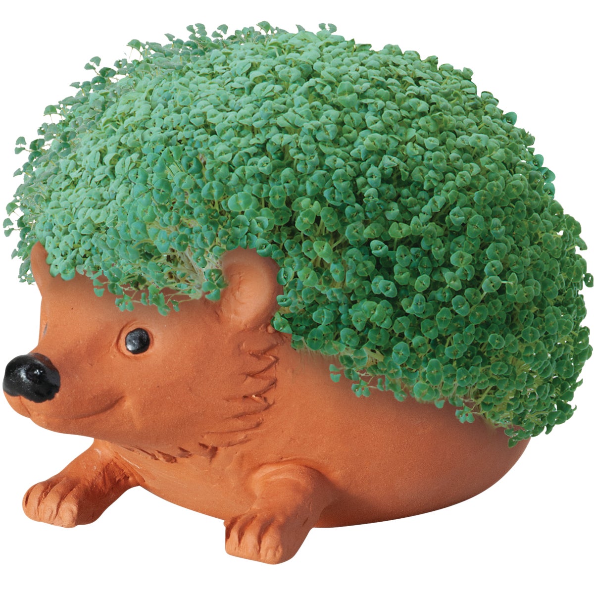 Chia Pet Hedge Hog Decorative Pottery Planter